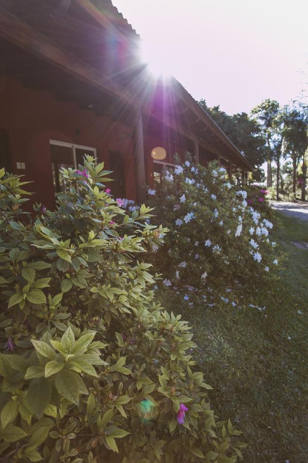 Rio Arriba Suites & Apartments & Resto เบญาวิสตา ภายนอก รูปภาพ