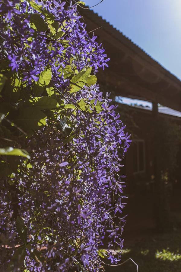 Rio Arriba Suites & Apartments & Resto เบญาวิสตา ภายนอก รูปภาพ